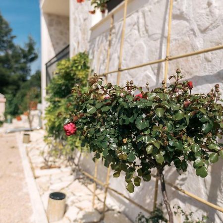 Hedon-Stone Apartment Starigrad Paklenica Luaran gambar