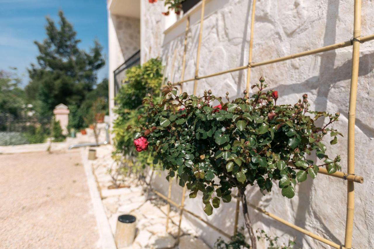 Hedon-Stone Apartment Starigrad Paklenica Luaran gambar